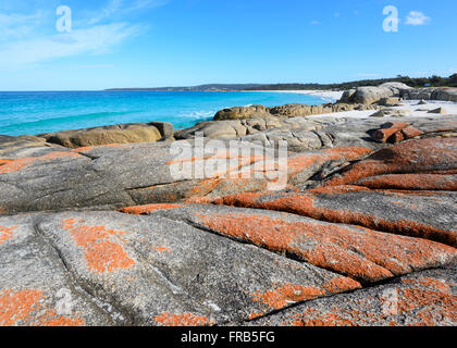 La baie d'incendie en Tasmanie est fait de lichens orange-couverts les rochers de granit, Tasmanie, Australie Banque D'Images