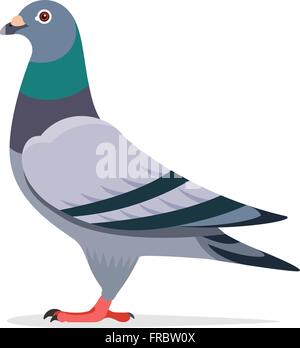Caractère vectoriel Pigeon Illustration de Vecteur