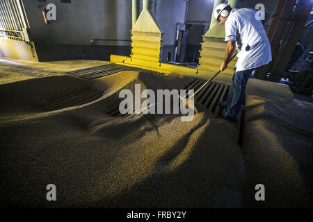 Vue de l'intérieur et de l'industrie de l'usine de farine Banque D'Images