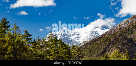 Paysage d'inspiration en Himalaya. Annapurna Himal Range sur l'Annapurna Trek Circuit, belles montagnes et vues de Banque D'Images