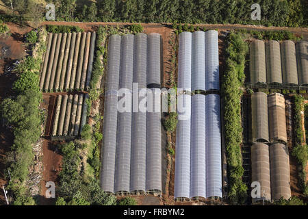 Vue aérienne du paysage rural de serres Banque D'Images