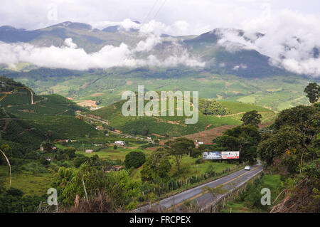 Région rurale de plantations de café et AMG-2955 Cicéron révérend Smith l'autoroute dans Spotlight Banque D'Images