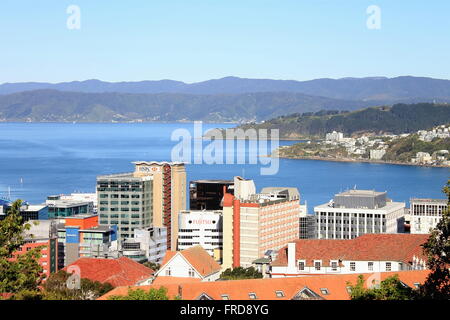 Wellington, Nouvelle-Zélande - 5 novembre 2015 : la ville de Wellington et le port. Banque D'Images