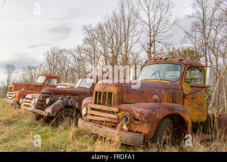 Les cabines de camion antique rouille en champ envahi en HDR. Banque D'Images