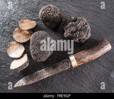 Truffes noires et truffes tranches sur le conseil de graphite. Banque D'Images