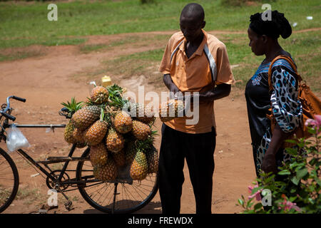 Un homme vend les ananas de son vélo, l'Ouganda, l'Afrique Banque D'Images