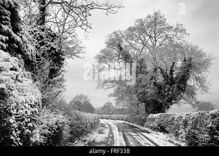 Dans la voie d'hiver chilterns près de High Wycombe, Buckinghamshire, Angleterre Banque D'Images