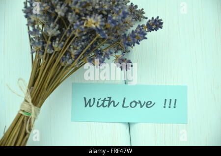 Avec l'amour tient et bouquet de fleurs de lavande sèche délicate Banque D'Images