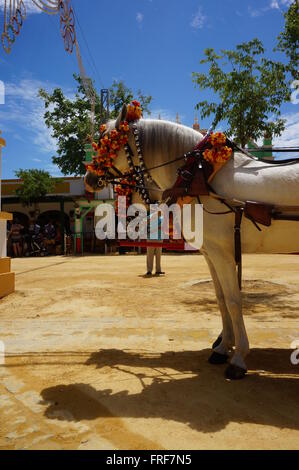 L'art équestre andalouse au cours de la Feria de Jerez de la Frontera.Art de transport de chevaux et chariots traditionnels. - 07/05/2013 Banque D'Images