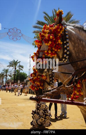 L'art équestre andalouse au cours de la Feria de Jerez de la Frontera.Art de transport de chevaux et chariots traditionnels. - 09/05/2013 Banque D'Images