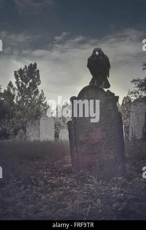 Cimetière fantasmagorique avec crow sur tombstone. Halloween concept. Banque D'Images