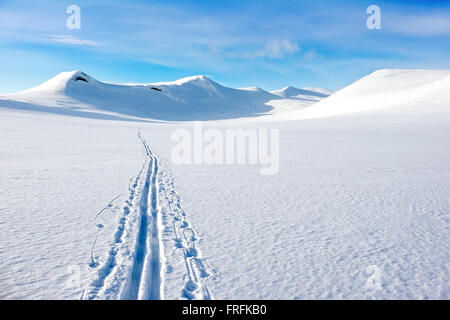 Les pistes de ski en premier paysage d'hiver dans le Parc National de Saltfjellet, Norvège Banque D'Images