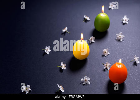 Bougies colorées en forme d'œuf de pâques avec des fleurs sur fond noir Banque D'Images