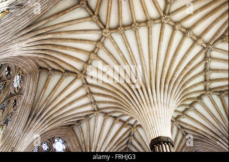 Wells Cathedral Chapter chambre voûtée. Somerset, Angleterre Banque D'Images