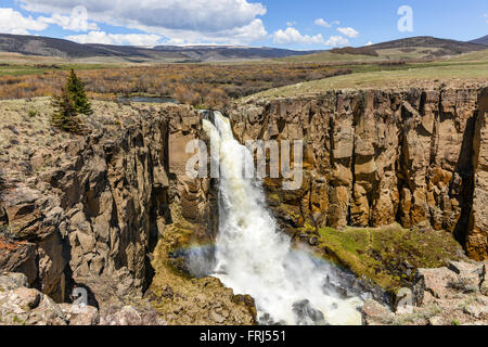 Clear Creek Falls - Nord Amérique du Clear Creek Falls à la fin mai. Forêt nationale de Rio Grande, Hinsdale Comté, Colorado, USA. Banque D'Images