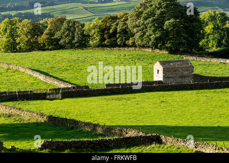 Les murs de pierres sèches et une grange en pierre, près de Askrigg, Wensleydale, Yorkshire, England, UK Banque D'Images