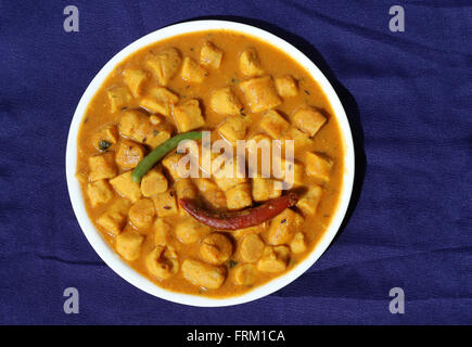 Curry de gatta Banque D'Images