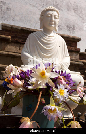 Anuradhapura, Sri Lanka, Mirisaveti Mirisavetiya, dagoba, fleurs de lotus, comme offrandes gauche Banque D'Images