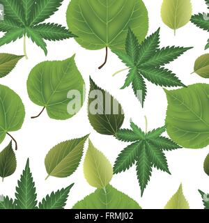 Arrière-plan de feuilles transparentes Illustration de Vecteur