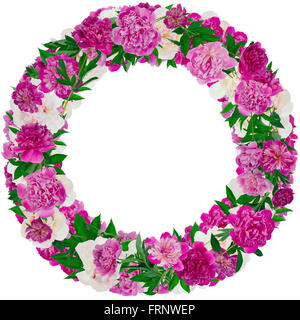 Rose et blanc du vrai pivoines branches roundl cadre photo. Isolé sur blanc collage fait main Banque D'Images