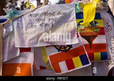 Sri Lanka, Anuradhapura, Sri Maha Bodi temple, les drapeaux de prières liées à l'arbre sacré Bo Banque D'Images