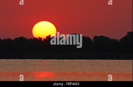 Soleil spectaculaire dans le Delta du Danube, Roumanie Banque D'Images