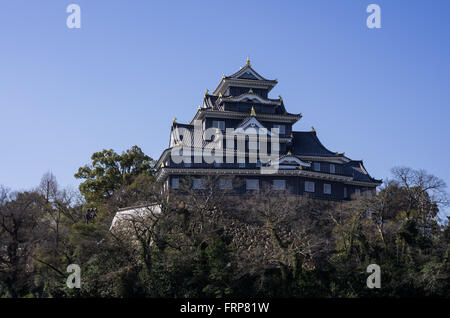 Okayama Castle comme vu de l'autre côté de la rivière Asahi au printemps, Okayama, Japon Banque D'Images