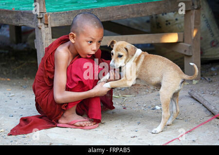 Portrait d'un jeune moine bouddhiste de jouer avec un chien de compagnie à un temple à Amarapura, Mandalay, Myanmar (Birmanie) Banque D'Images