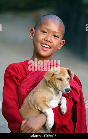 Portrait d'un jeune moine bouddhiste de jouer avec un chien de compagnie à un temple à Amarapura, Mandalay, Myanmar (Birmanie) Banque D'Images