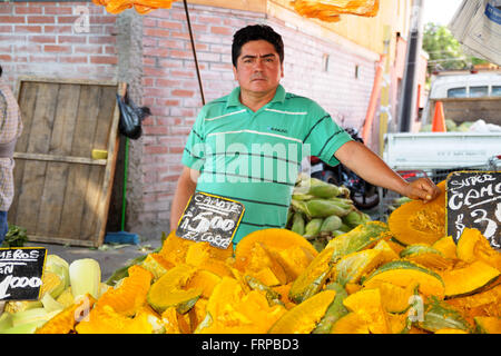 Vendeur alimentaire dans un salon ouvert, Recoleta, Santiago, Chili Banque D'Images