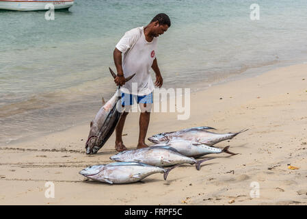 Faites glisser deux pêcheurs de thon sur la plage de la baie de Tamarin à l'Ile Maurice Banque D'Images