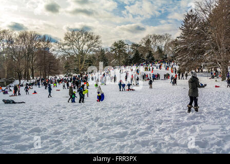La luge dans Central Park en hiver, New York City, USA. Banque D'Images