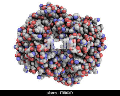 Structure chimique de l'hémoglobine (Hb) molécule protéique. Le transport d'oxygène contenant du fer protéine présente dans les globules rouges. Banque D'Images