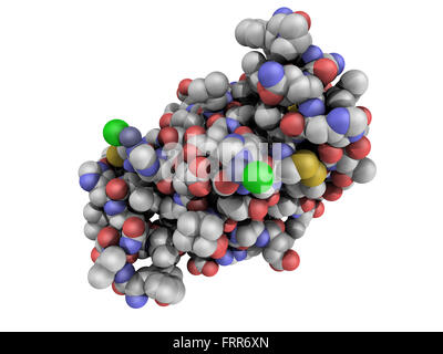 Structure chimique d'une molécule d'insuline humaine. L'insuline est une hormone peptidique utilisé pour traiter le diabète de type 1 Banque D'Images
