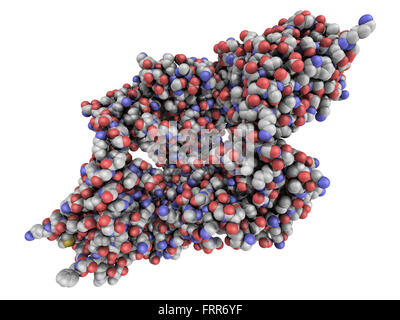 Anticorps monoclonaux (immunoglobulines), molécule de structure chimique. La plupart des médicaments biotechnologiques actuelles sont des anticorps monoclonaux. Banque D'Images