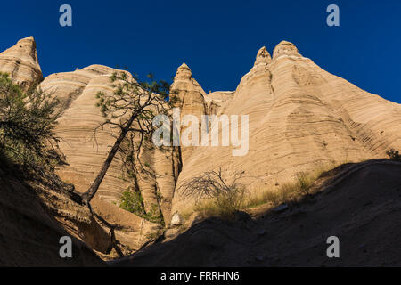 En forme de tente sur l'emplacement considéré hoodoos Canyon Trail à Kasha-Katuwe Tent Rocks National Monument à New Mexico, USA Banque D'Images