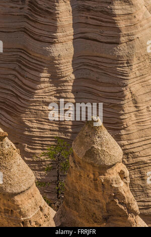 En forme de tente sur l'emplacement considéré hoodoos Canyon Trail à Kasha-Katuwe Tent Rocks National Monument à New Mexico, USA Banque D'Images