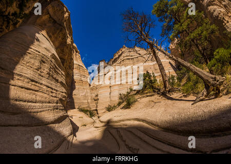 La randonnée le long de la fente Canyon Trail à Kasha-Katuwe Tent Rocks National Monument à New Mexico, USA Banque D'Images