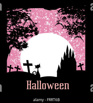 chat dans un cimetière Banque D'Images