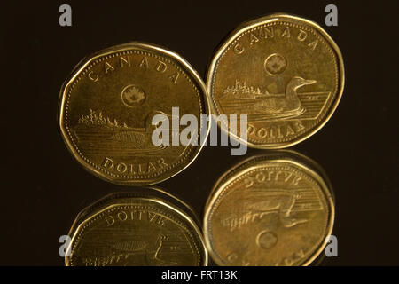 Deux pièces de un dollar canadien, représenté à Kingston (Ontario), le lundi 25 janvier 2016. Photo par Lars Hagberg Banque D'Images