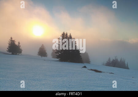 Hiver brouillard lever du soleil sur le mont Feldberg, Allemagne Banque D'Images