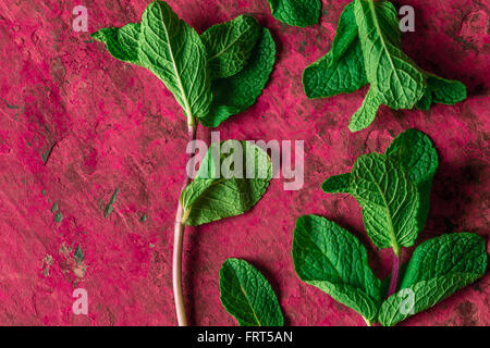 Feuilles de menthe sur le fond en pierre rose Banque D'Images