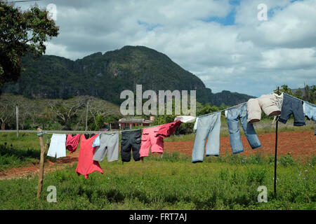 Blanchisserie sèche dans les vallée de Vinales, Cuba. Banque D'Images