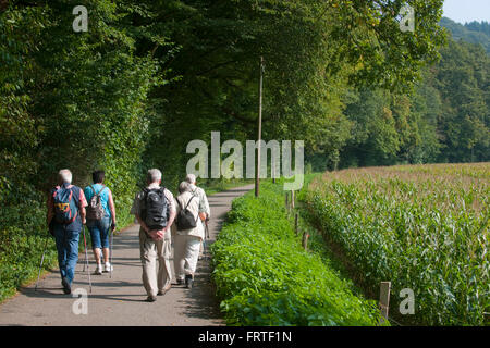 BRD, Nordrhein-Westfalen, Wanderer auf dem Weg zum Helenental (Tal der Dhünn) bei Marienberg Rheinisch-Bergischen im Kreis. Banque D'Images