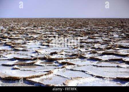 Les plaques de sel du lac Karoum ou Assale dans la saison sèche-superficiellement inondé par l'orage tombé sur les hautes terres voisines à l'Ouest Banque D'Images