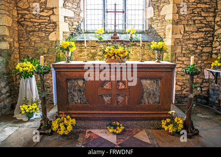 Le festival de la jonquille au St.Mawgan-en-Meneage église située à Cornwall, UK Banque D'Images