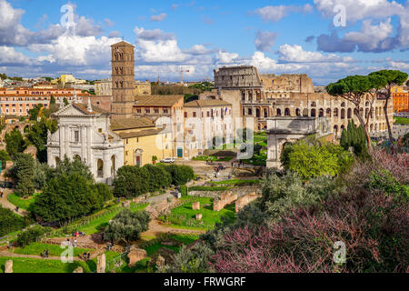 Vue sur le Colisée, Santa Francesca Romana et l'Arc de Titus, à partir de la colline du Palatin, Rome, Italie Banque D'Images