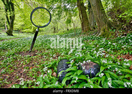 Les roches blanches ; Herefordshire Wildlife Trust Réserver ; sculpture ; UK Banque D'Images