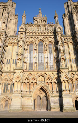 Wells Cathedral dans le comté de Somerset Englisg. La cathédrale actuelle date d'environ 1175 et est construit dans le style gothique. Banque D'Images