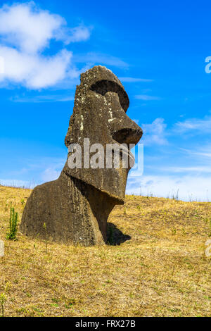 La sculpture polynésienne à Rano Raraku Carrière de l'île de Pâques, Chili Banque D'Images